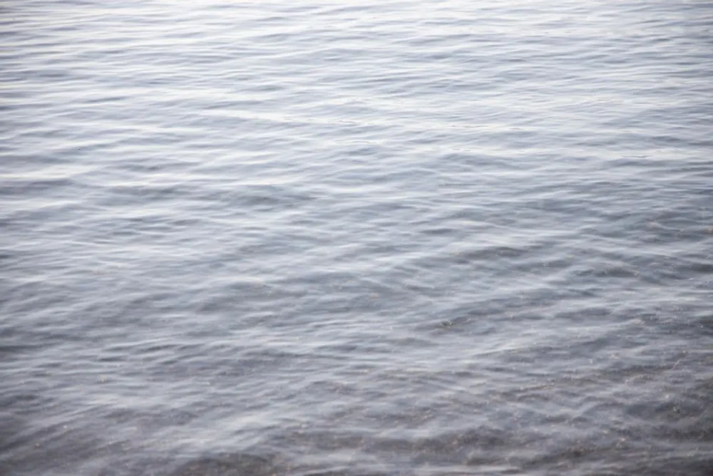 Спокойная водная гладь с легкой рябью.